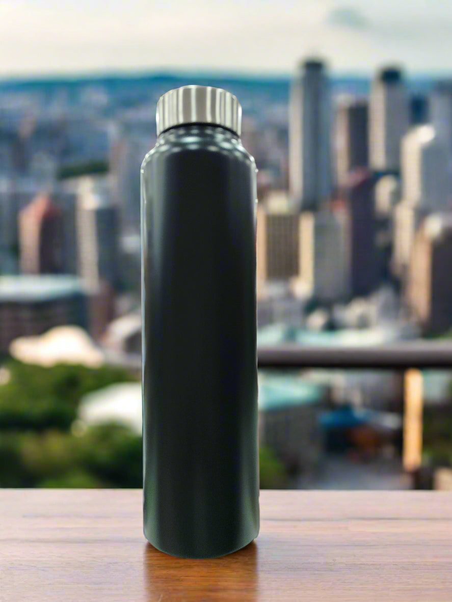 Steel Vacuum Bottle