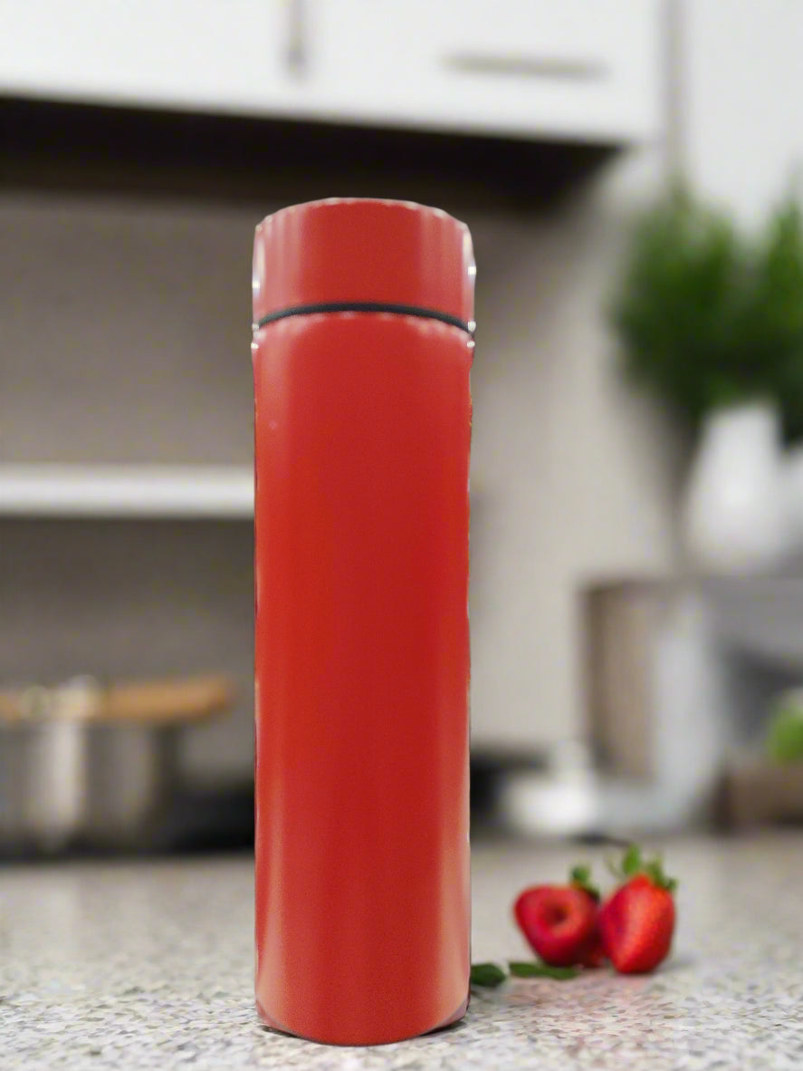 Temperature vacuum Bottle