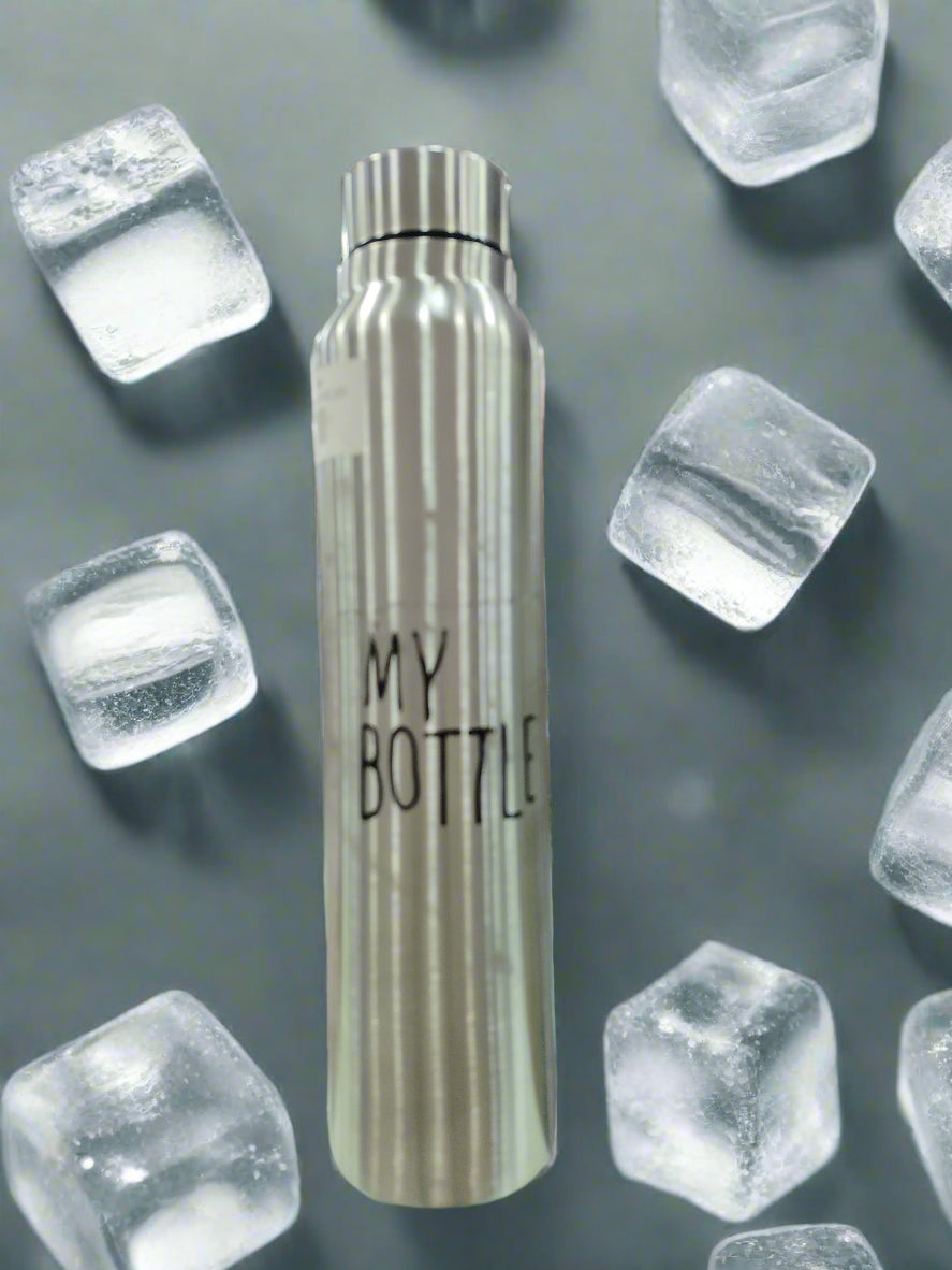 Steel Vacuum Bottle