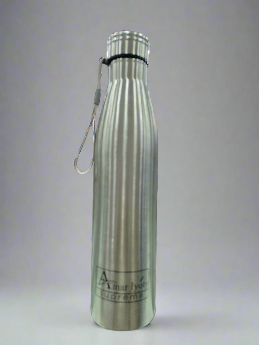 Steel vacuum Bottle