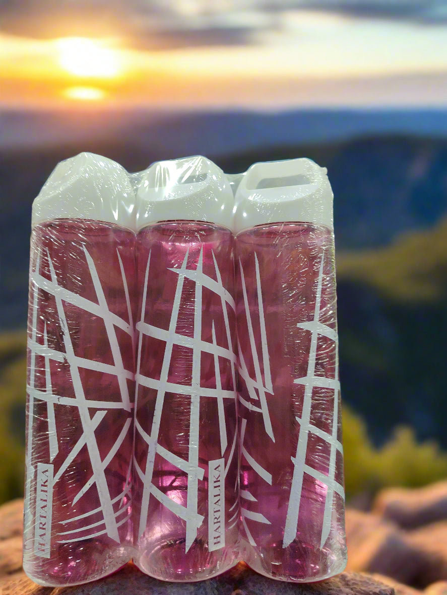 Hartlika 3Pcs Bottle Set