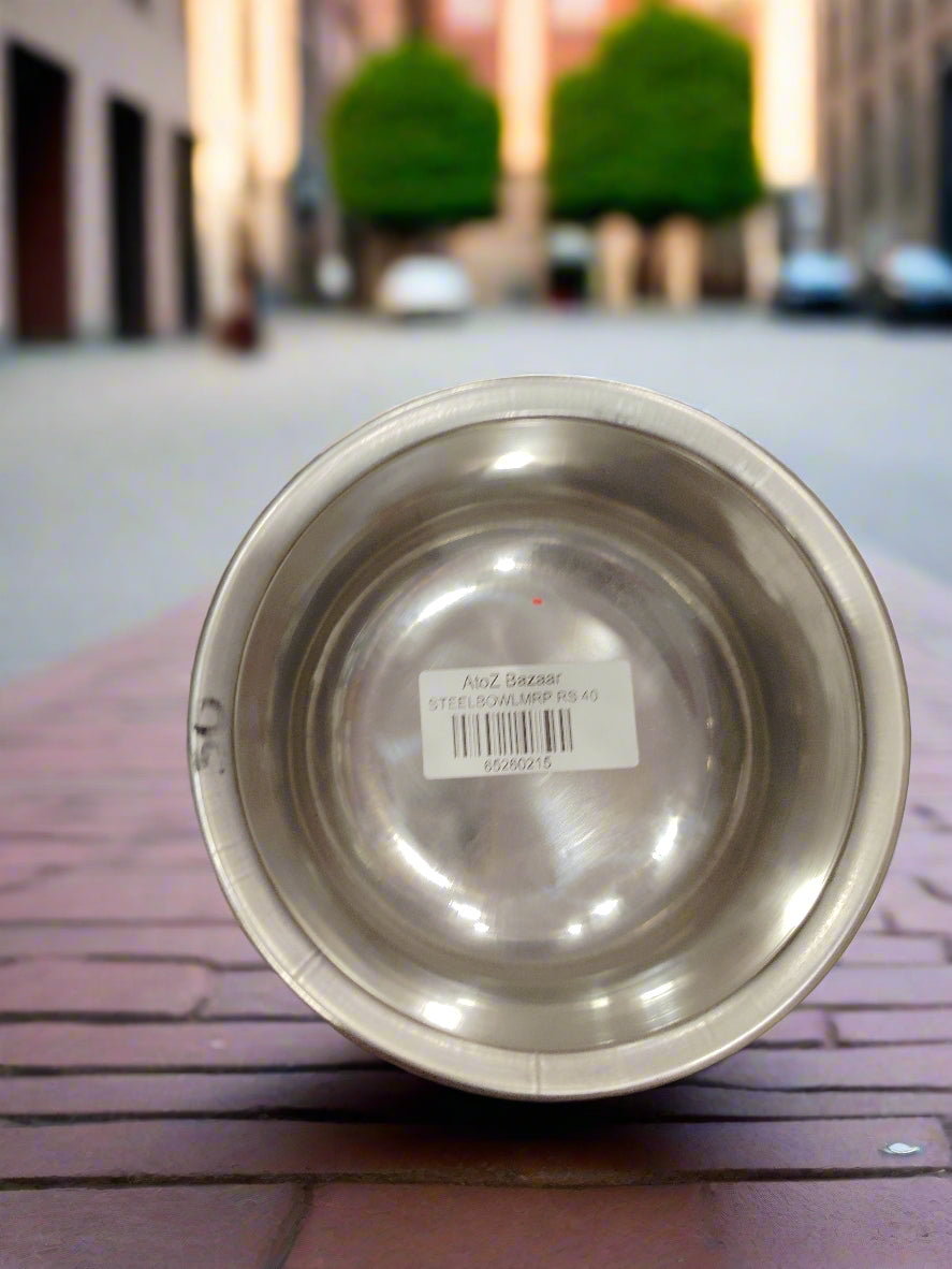Steel Bowl