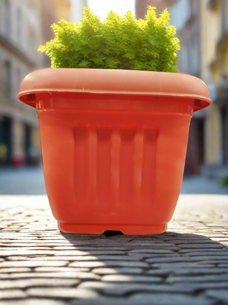 Square Planter 2no