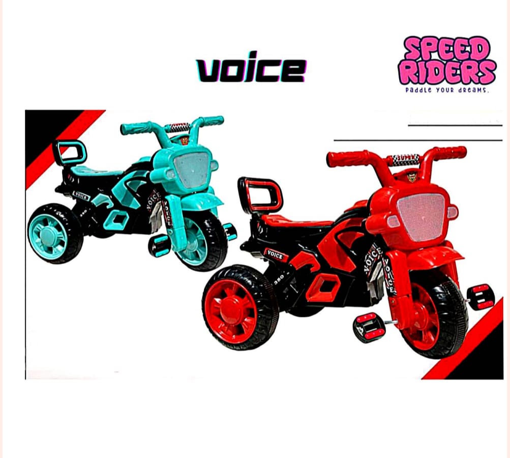 Voice Rider