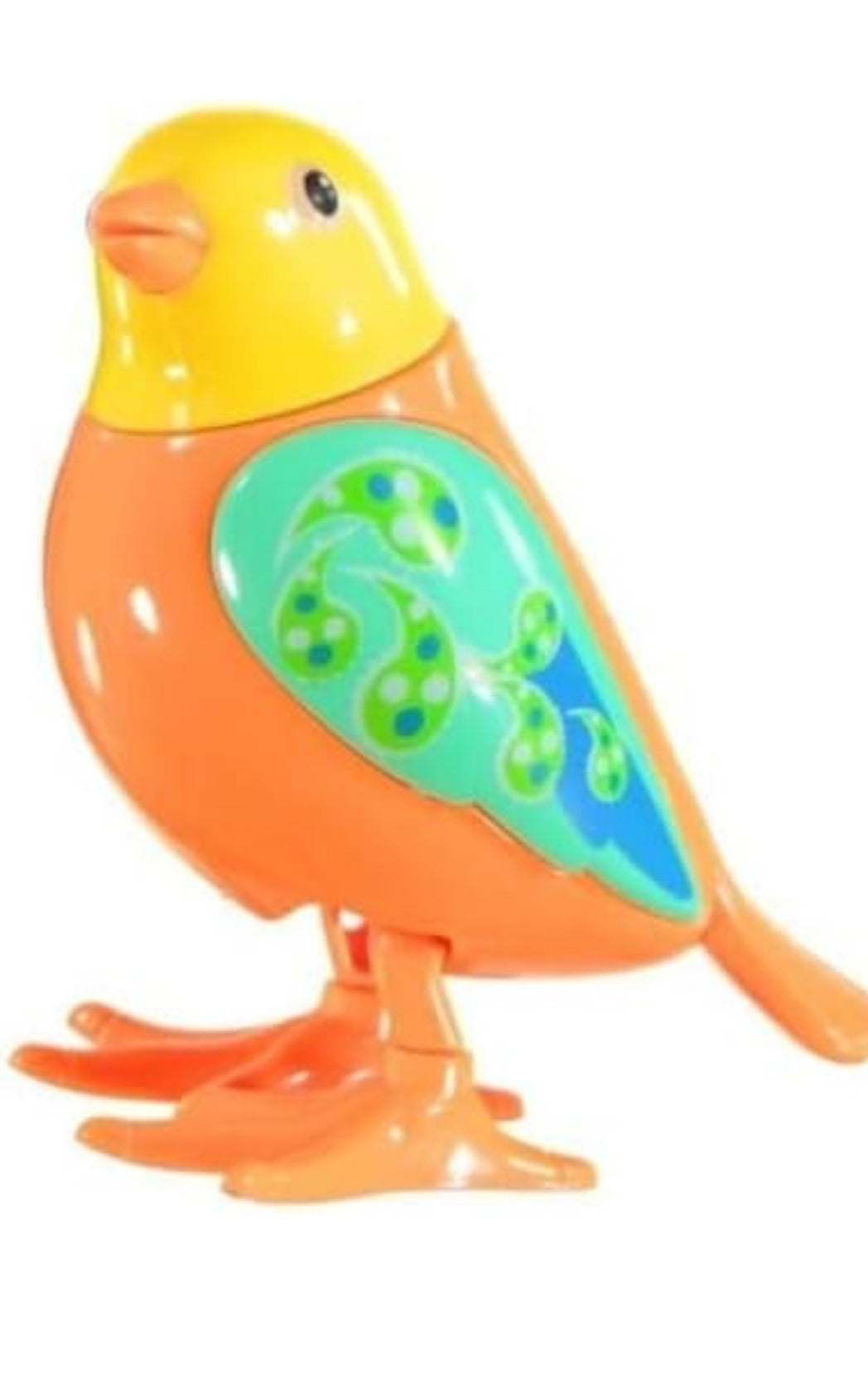 Jumping Bird