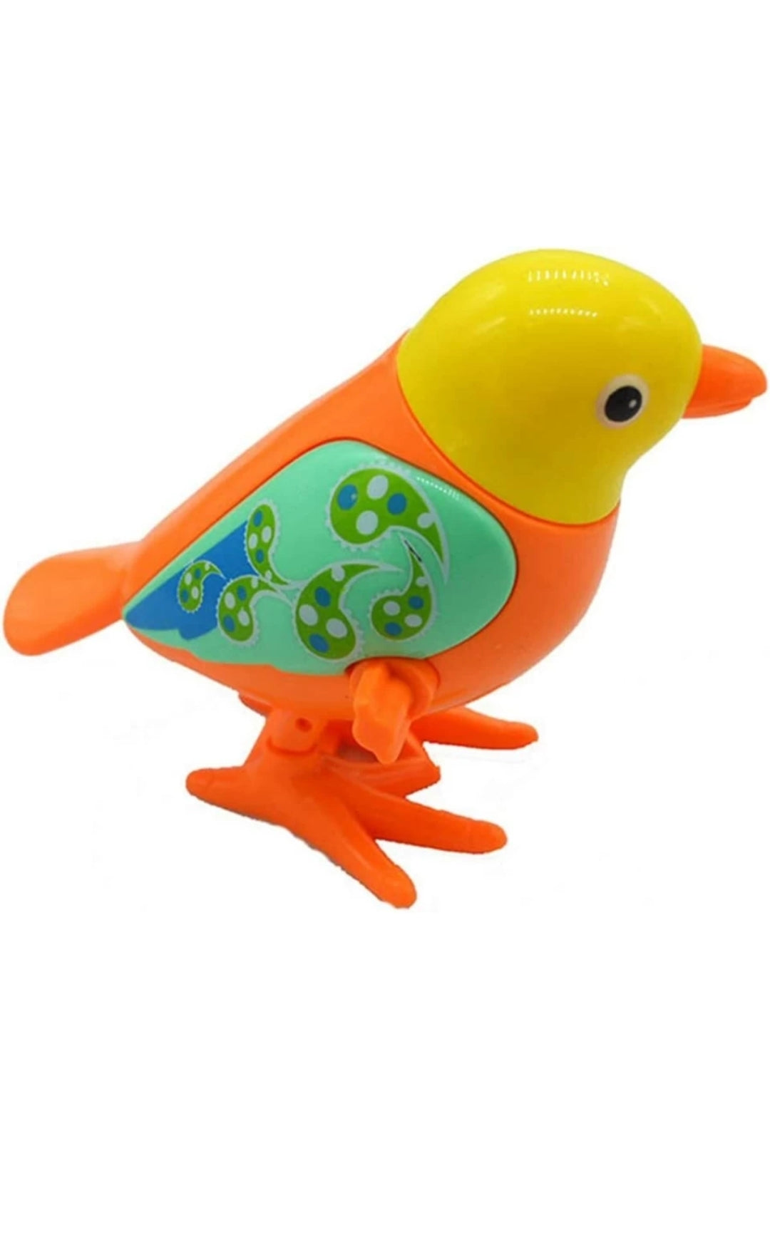 Jumping Bird