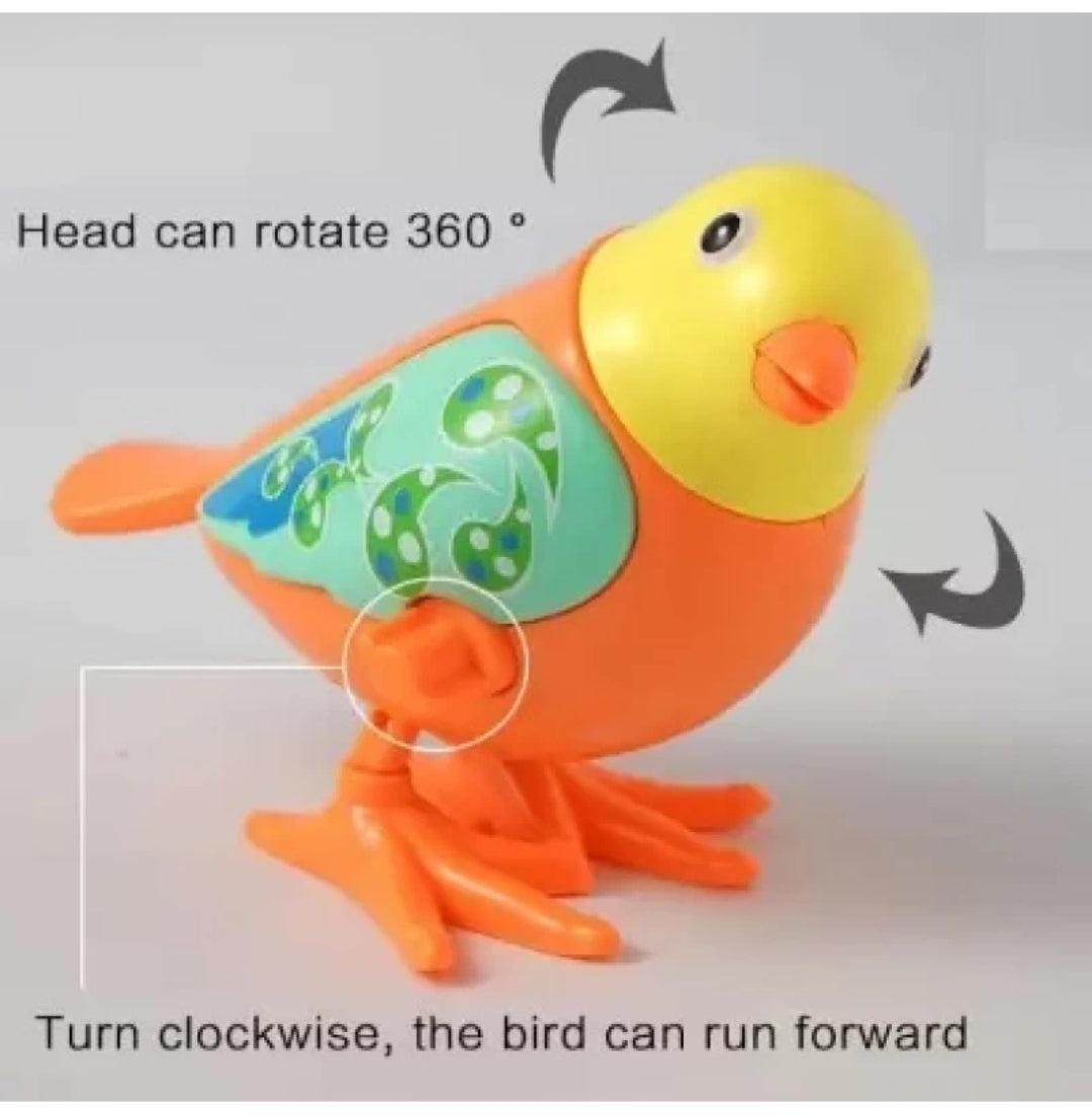 Jumping Bird