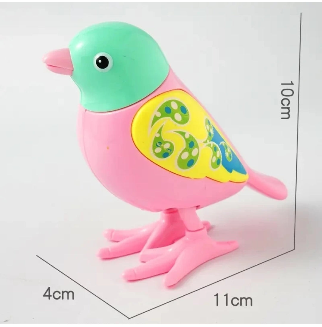 Jumping Bird