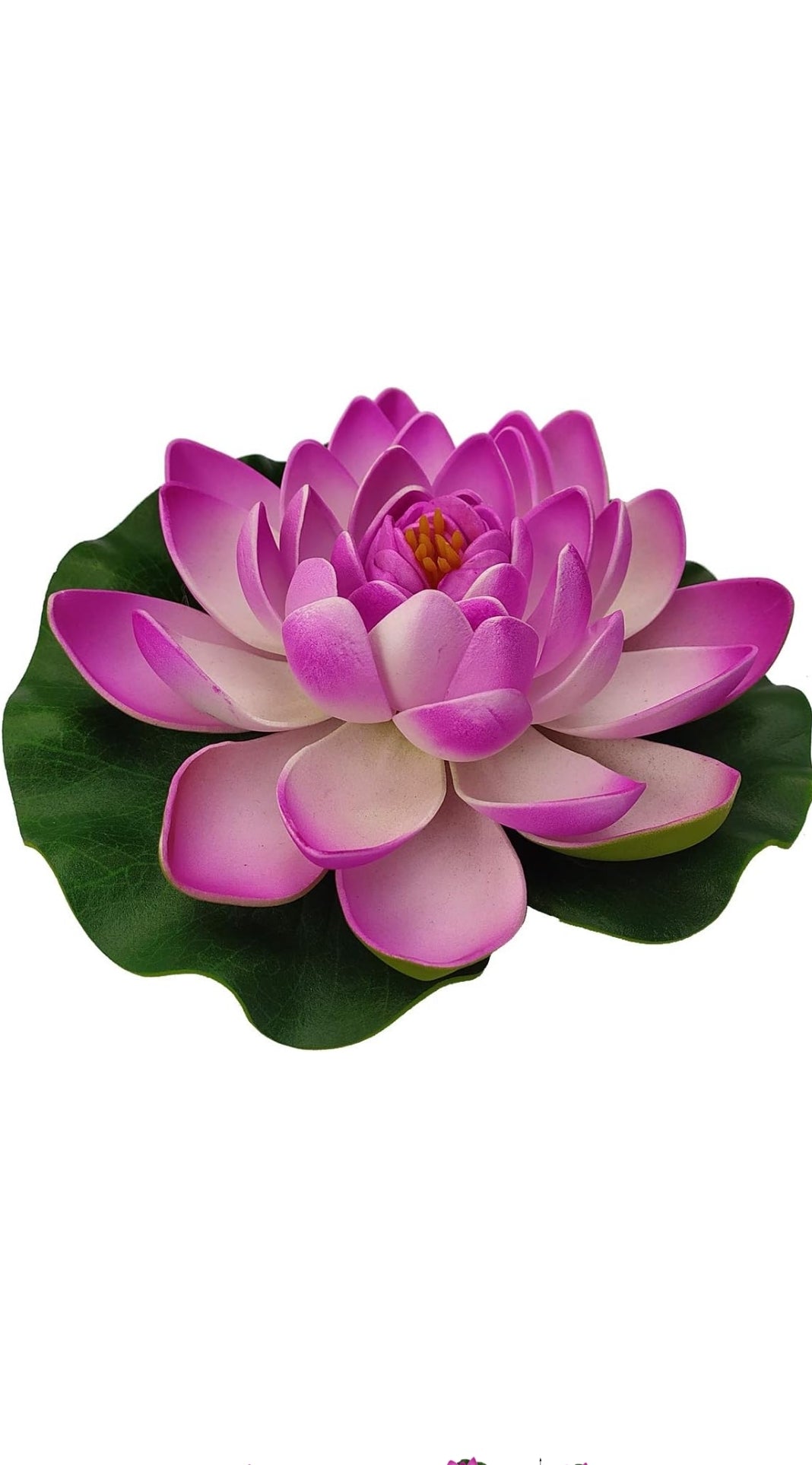 Lotus Flower big