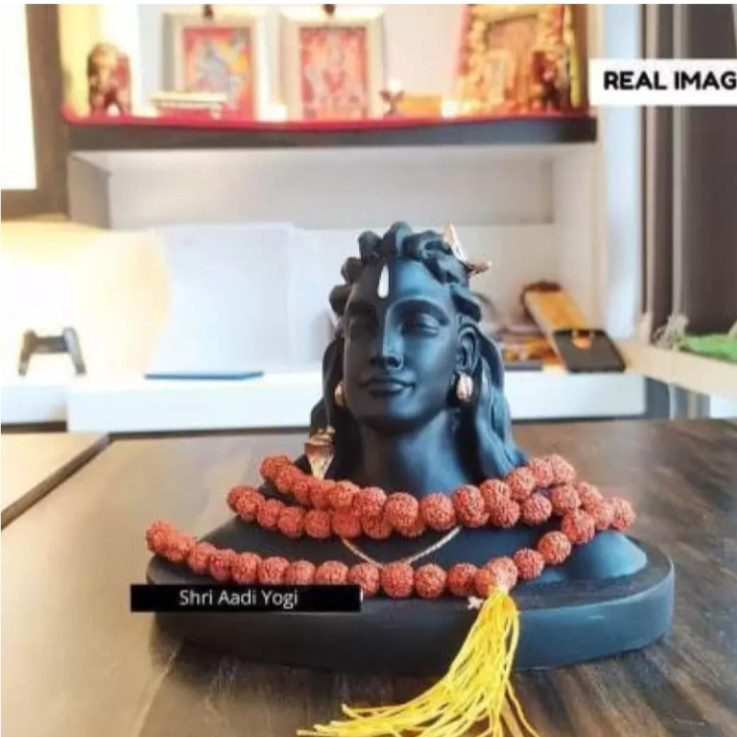 Adiyogi