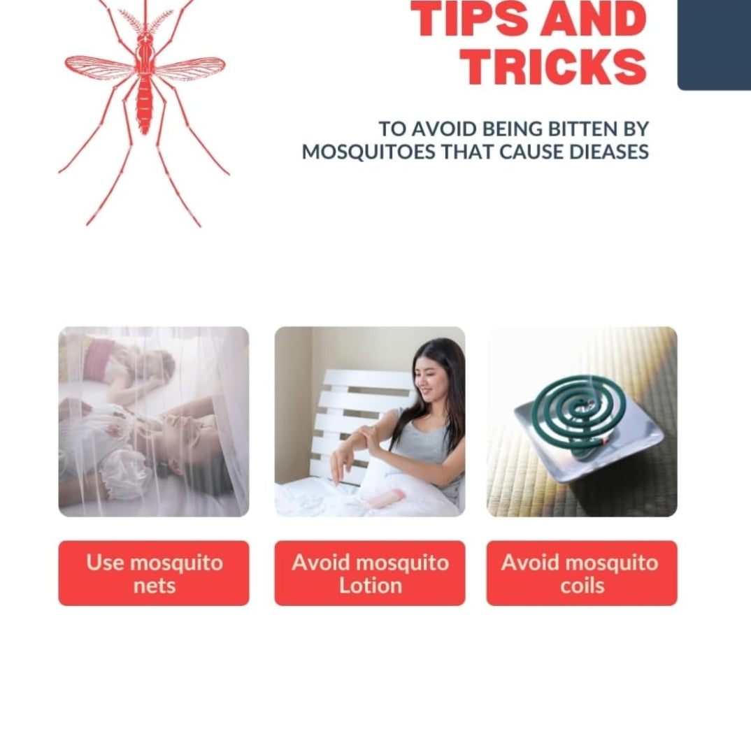 Mosquito net 6x6