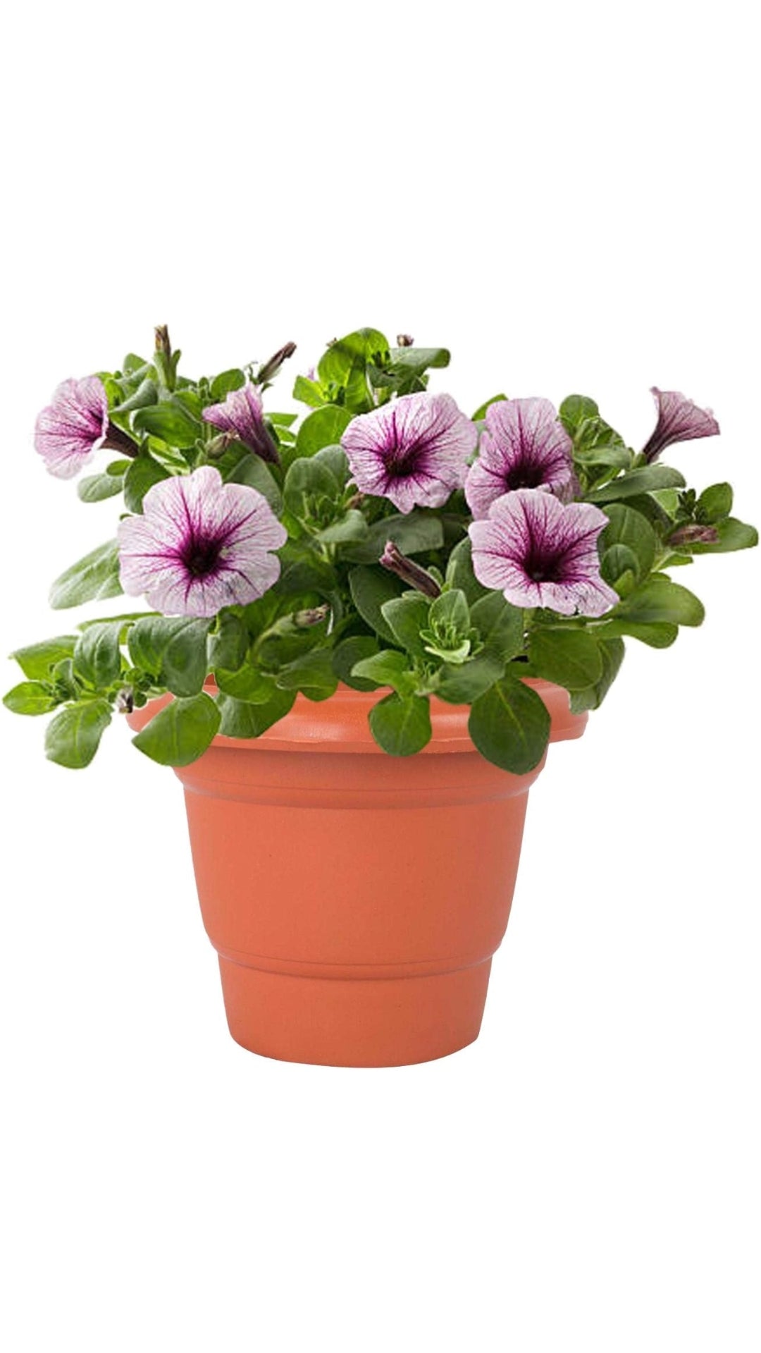PLANTER 14’’