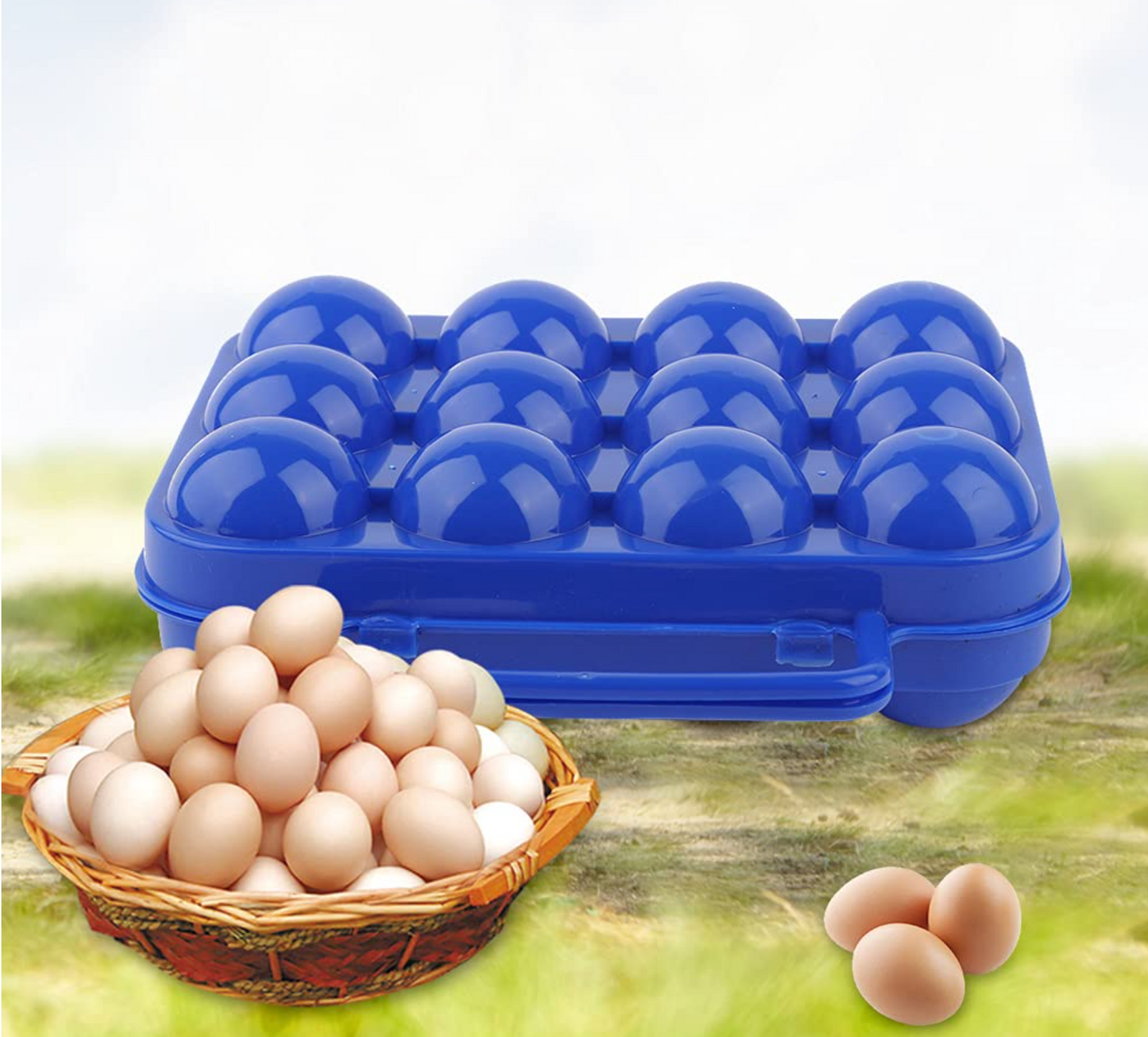 Egg Tray