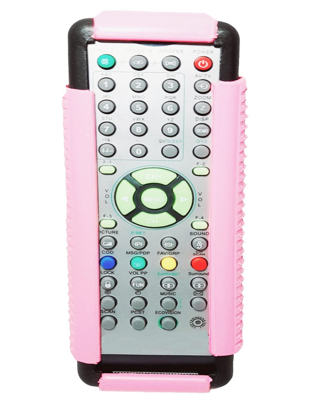 REMOTE GUARD