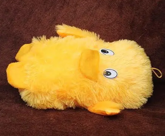 DUCK TEDDY