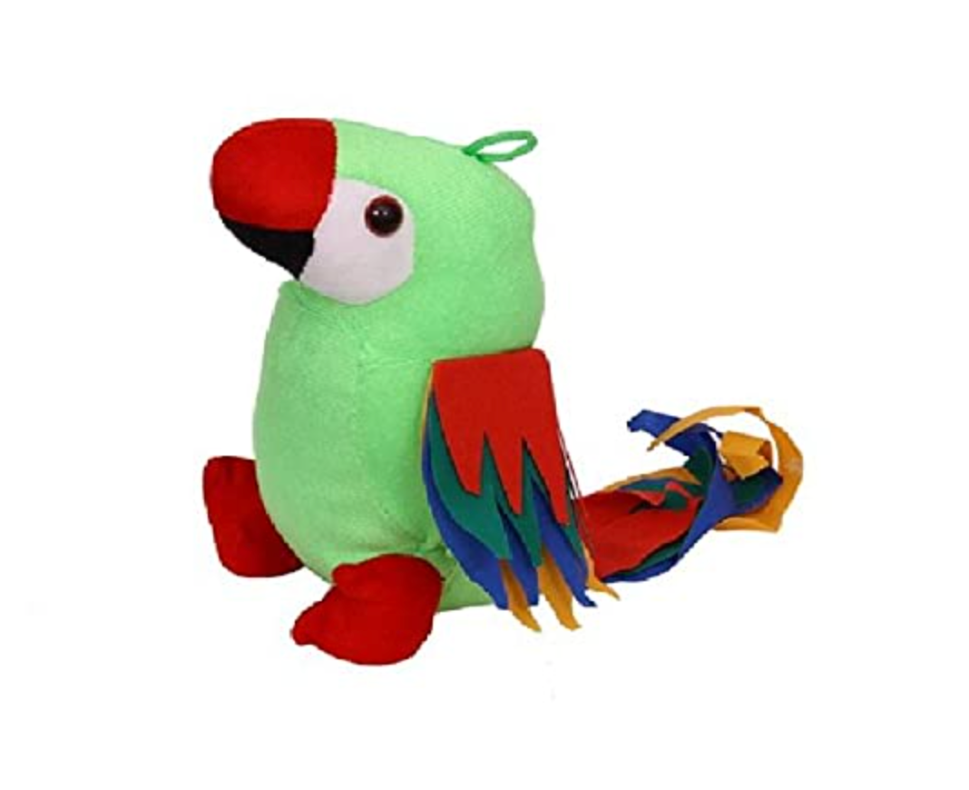 Parrot teddy