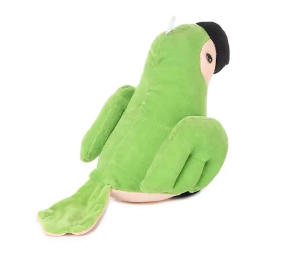 Parrot teddy