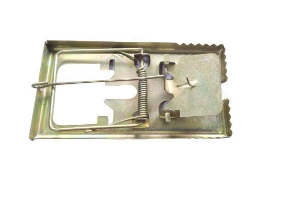 Rat Trap