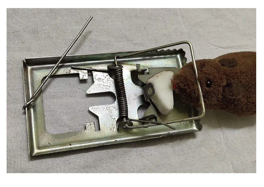 Rat Trap