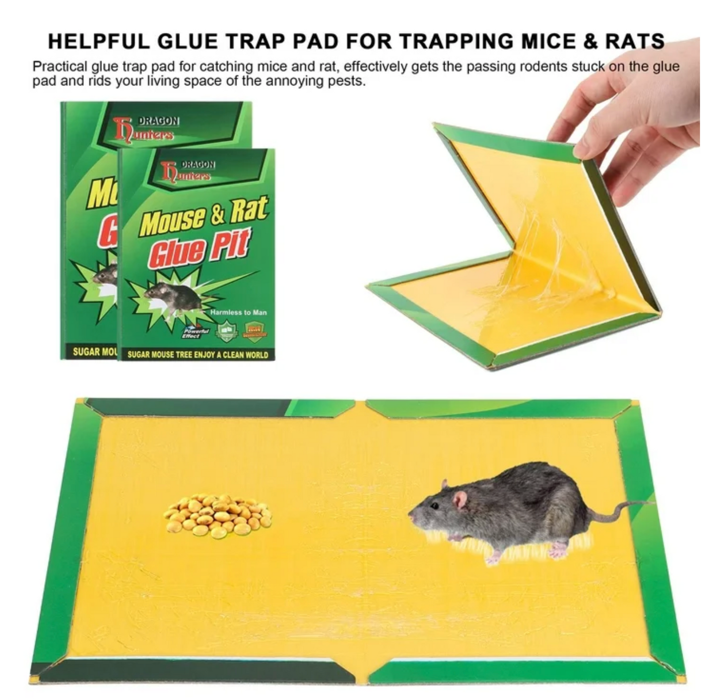 Rat Gum Pad Small