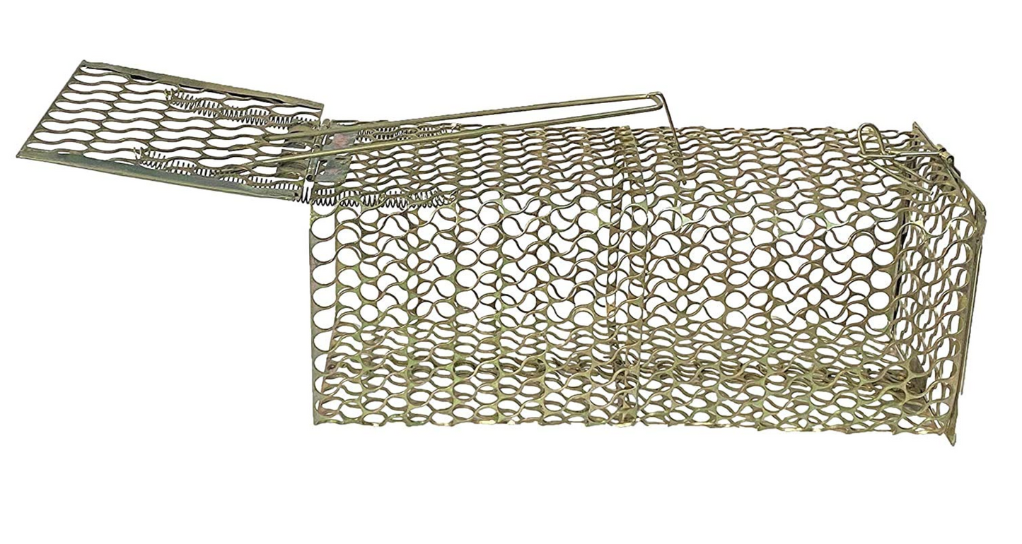 Rat Trap Cage
