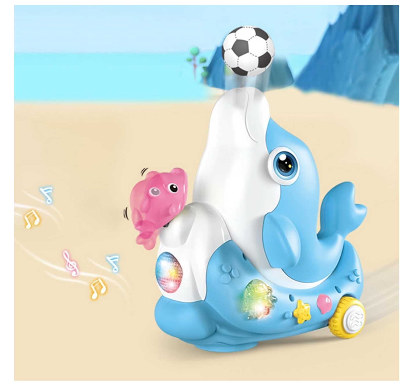 Dolphin Concert