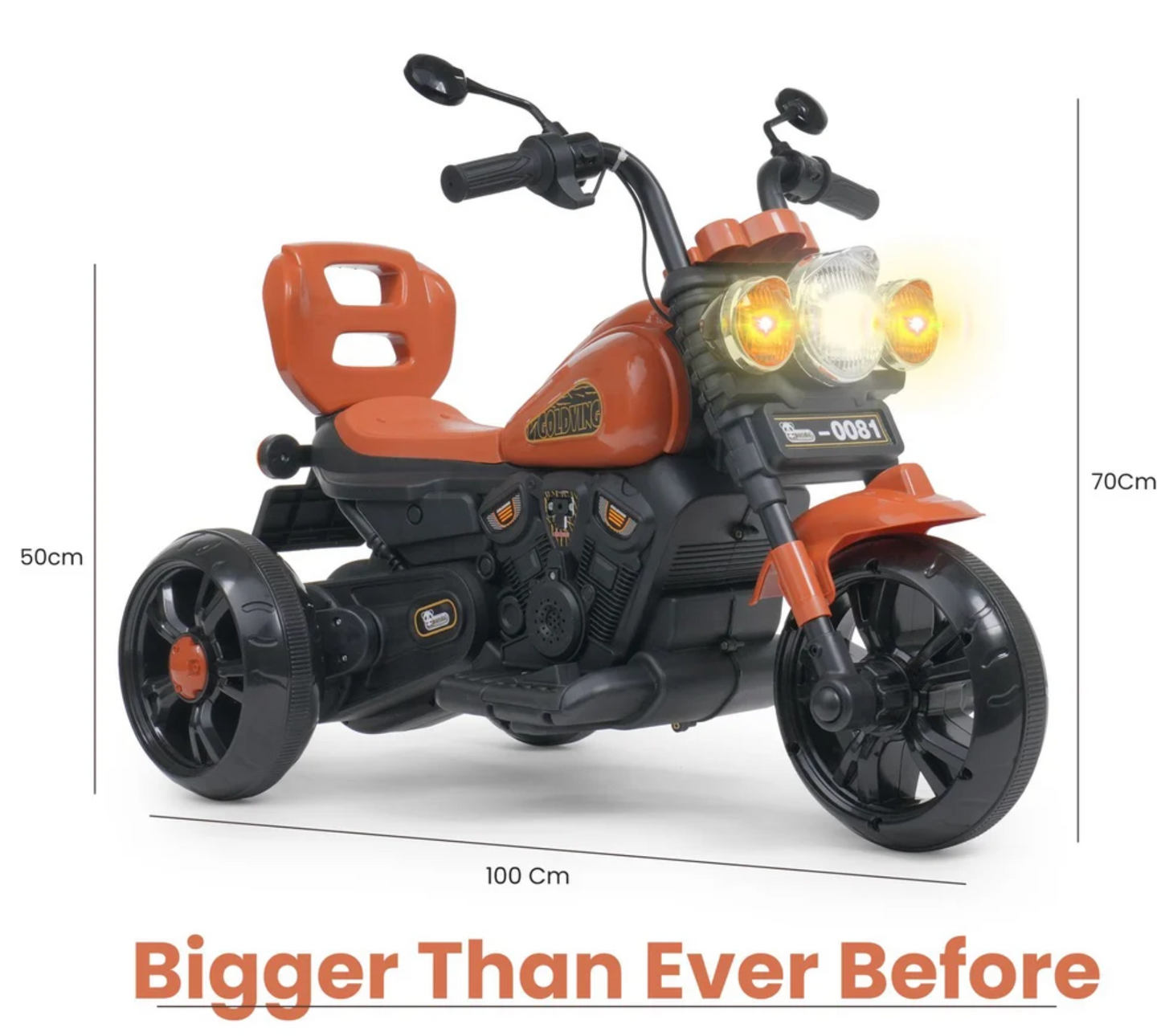 Goldving Bike