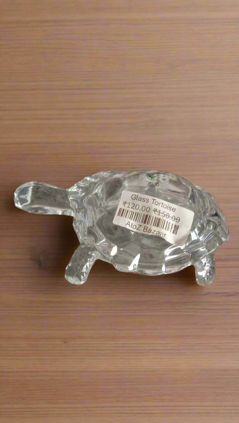 Glass Tortoise