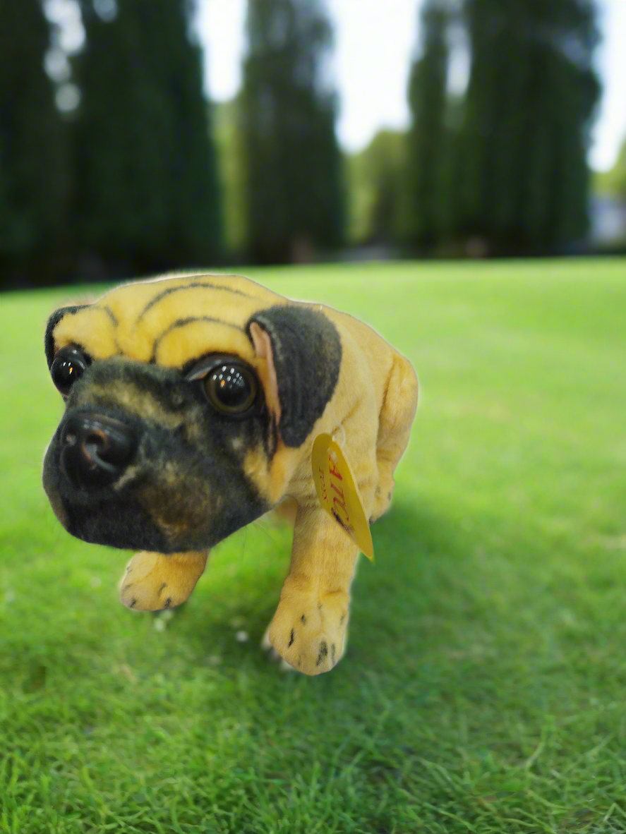 Puppy Dog