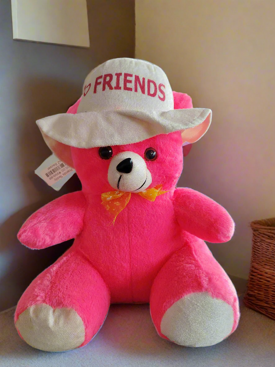 Friends Teddy