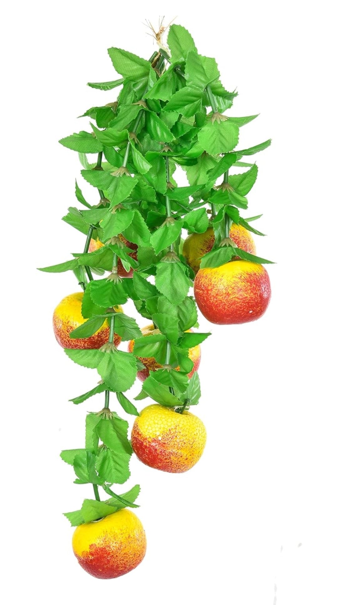 Hanging fruits