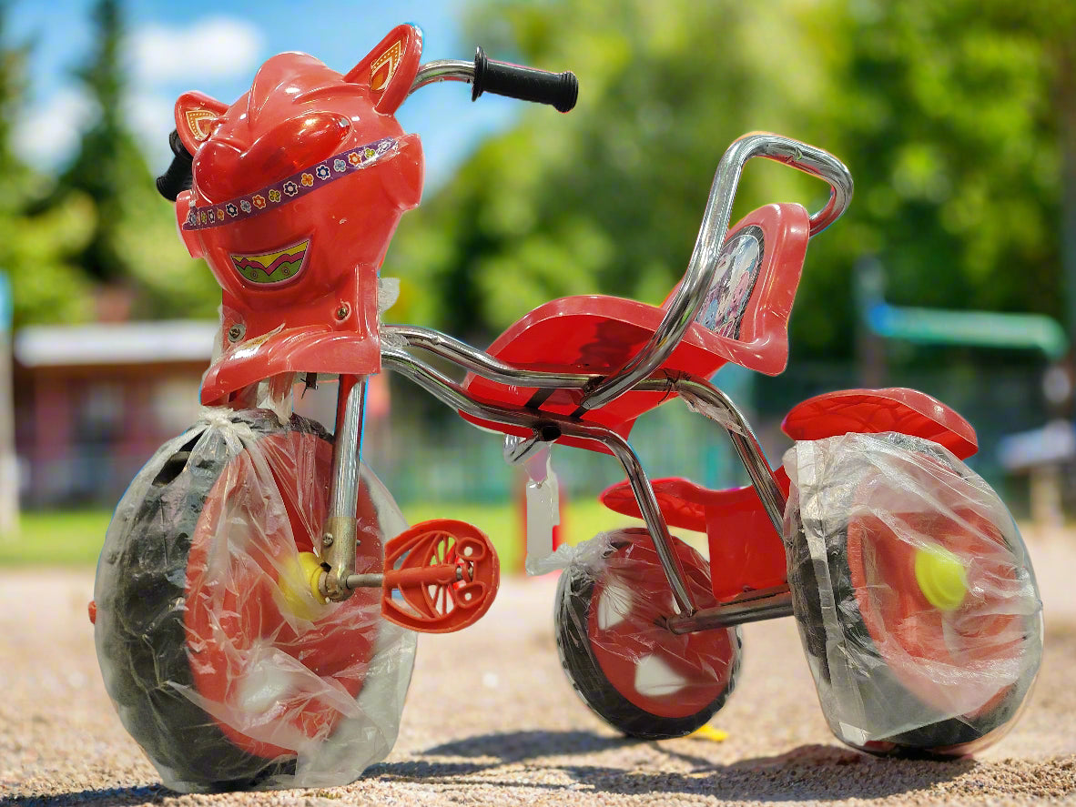 Saloni Steel Rod cycle