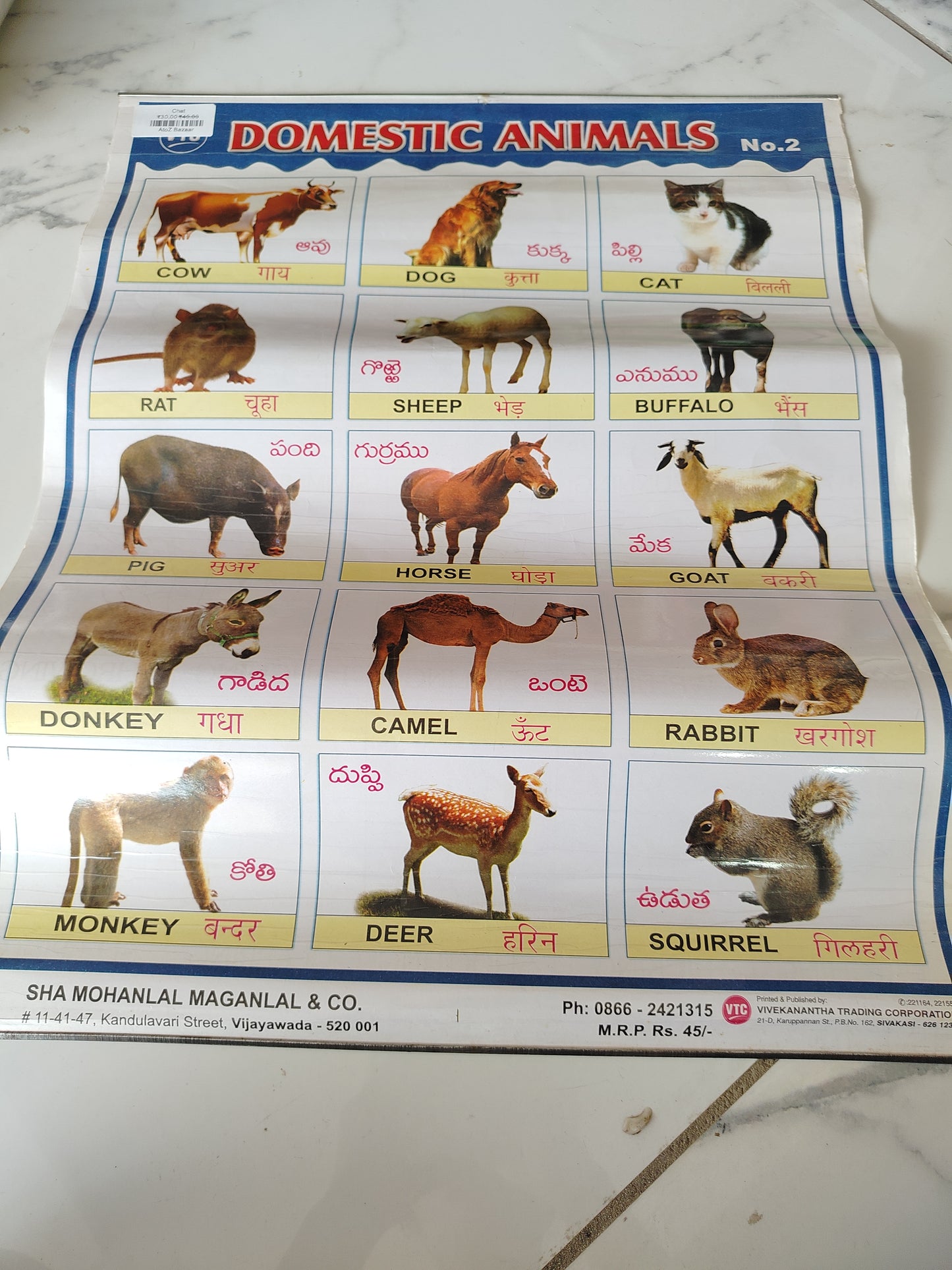 Kids Chart