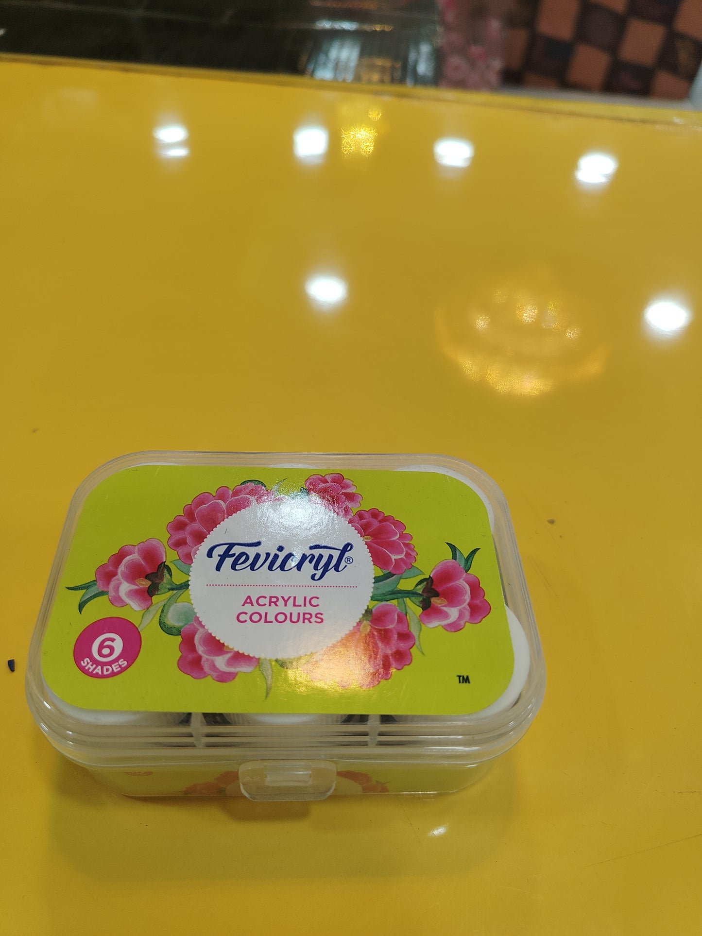 Fevicryl Acrylic Colours 6pcs