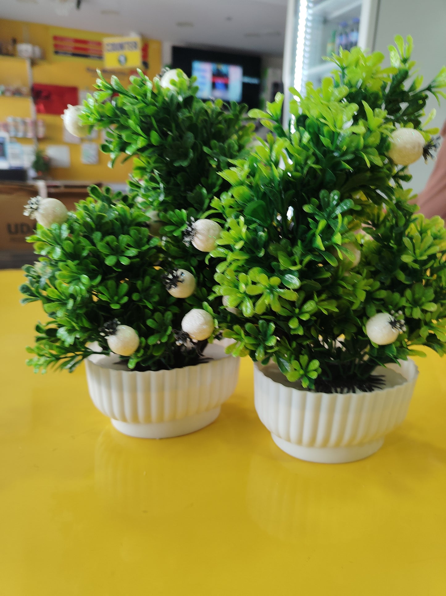 Flower Vase