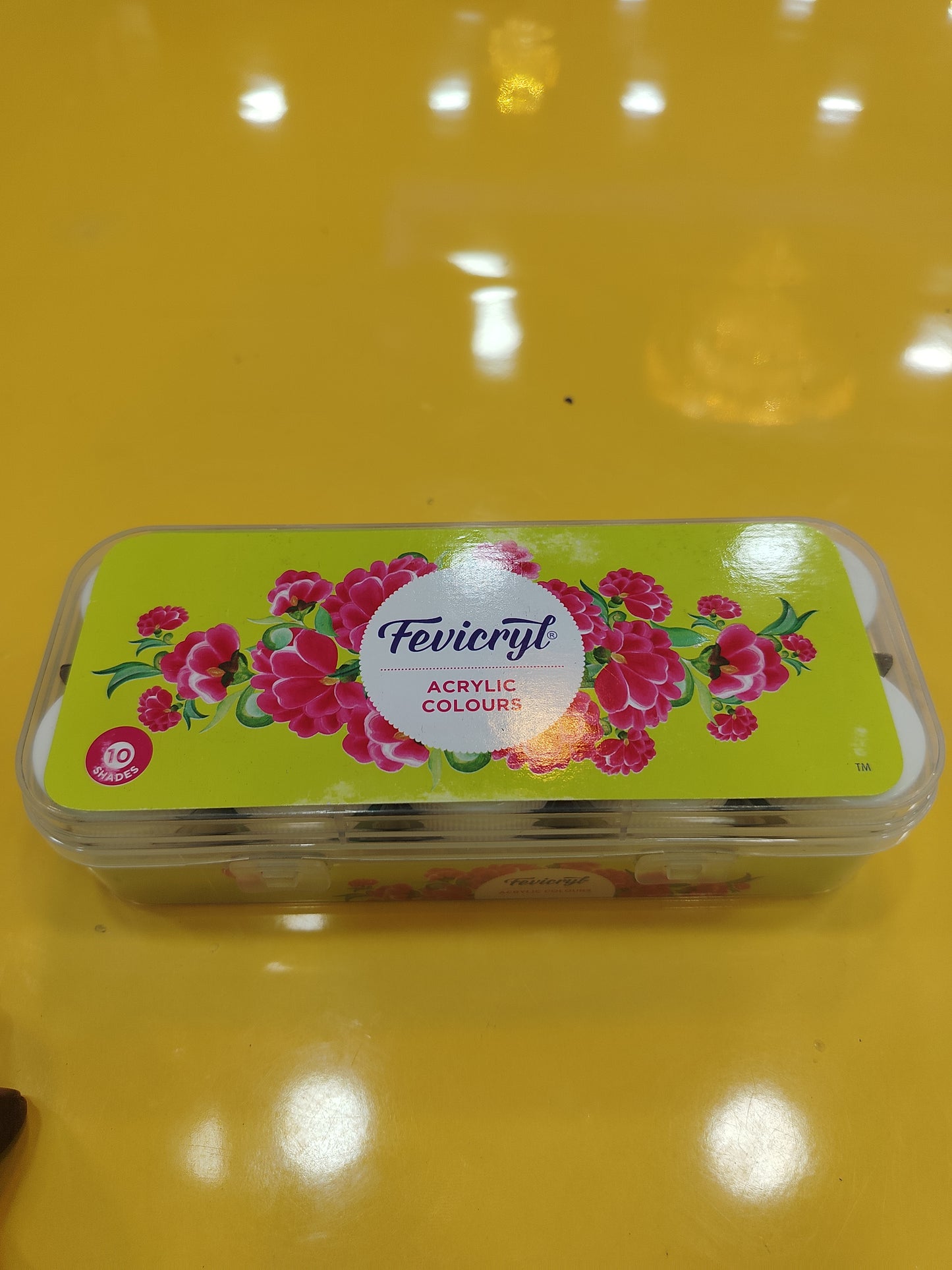 Fevicryl Acrylic Colours 10pcs