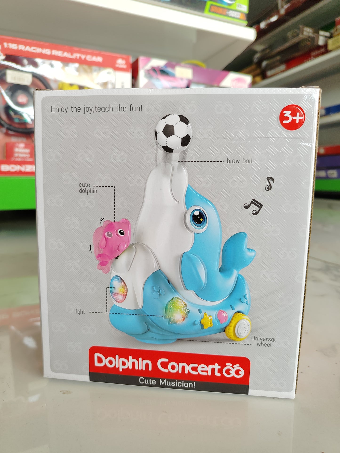 Dolphin Concert