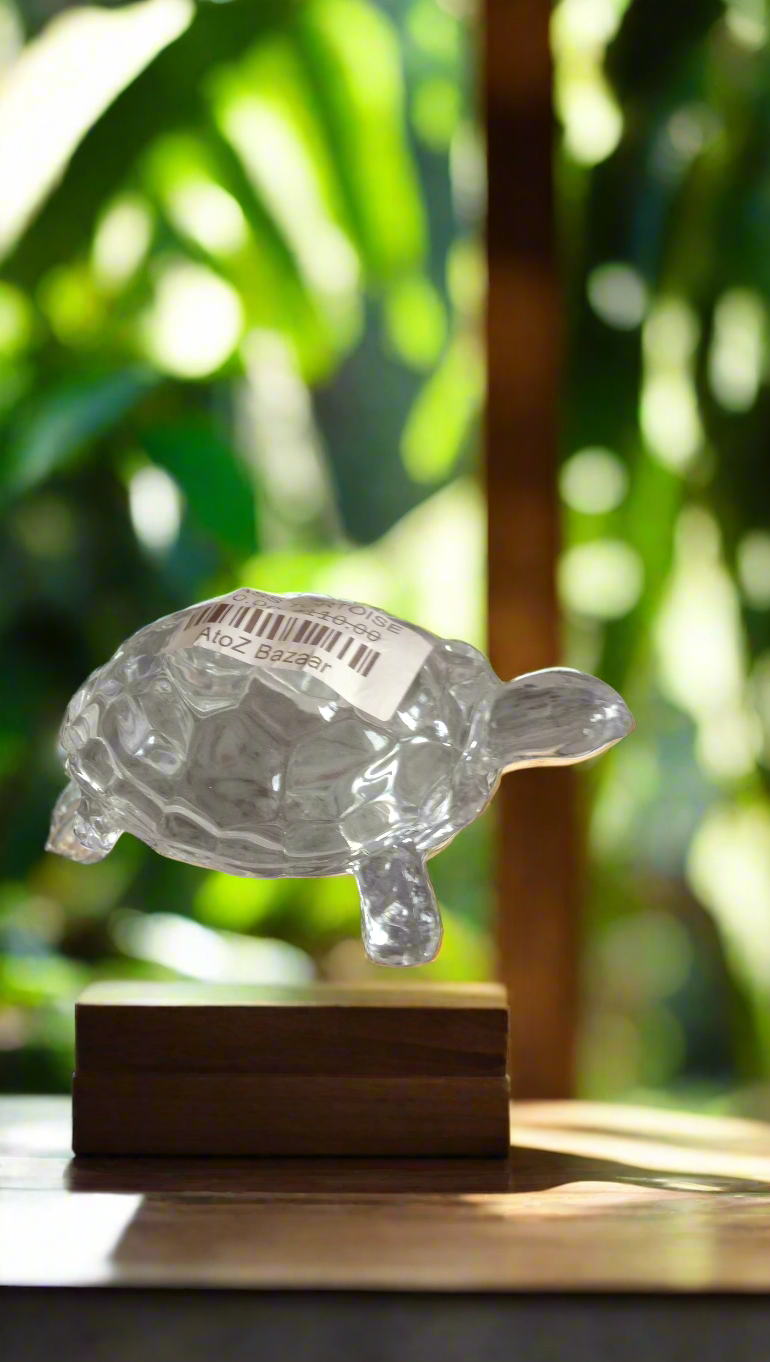 GLASS TORTOISE