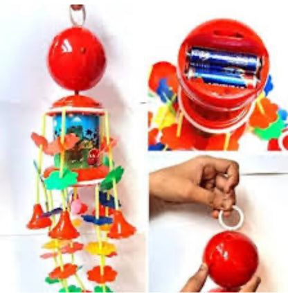 Jhula musical toy