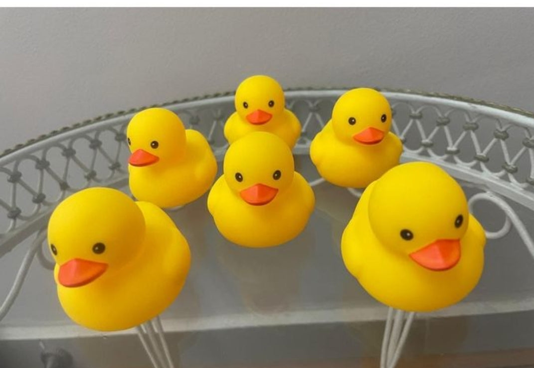 Duck yellow family