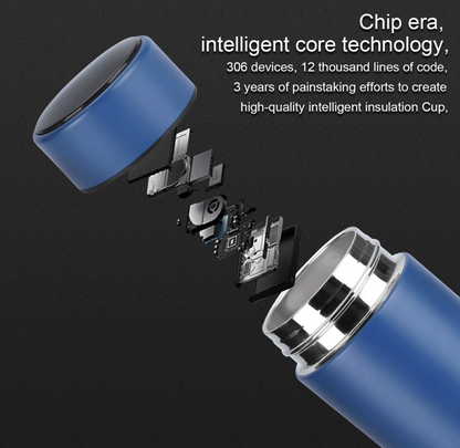 Temperature vacuum Bottle