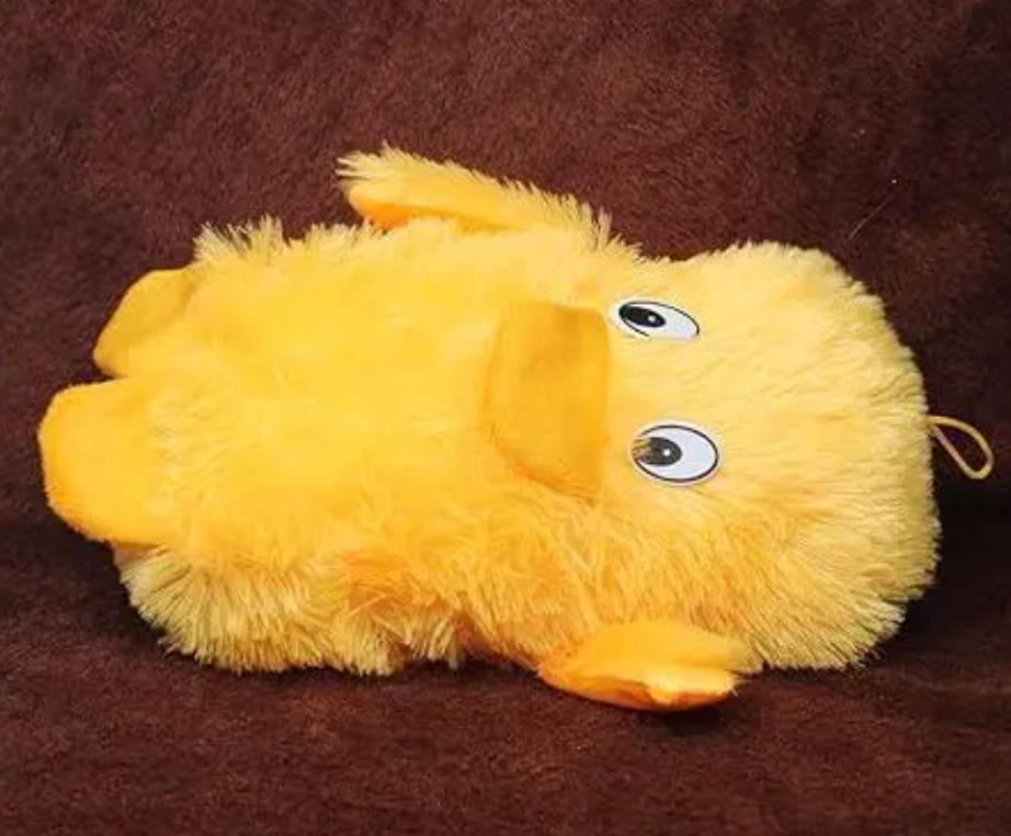 DUCK TEDDY