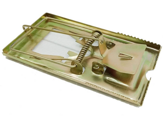 Rat Trap