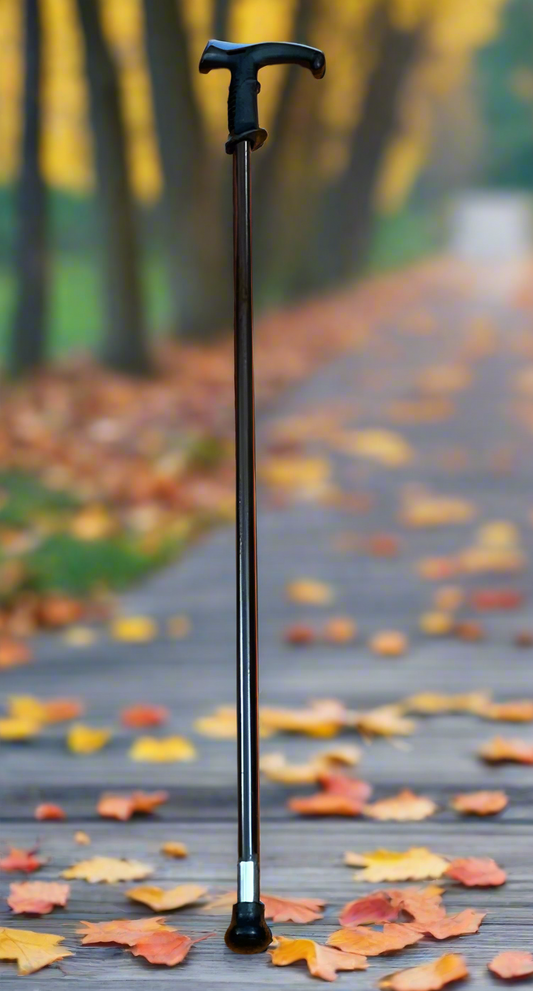 Walking Stick