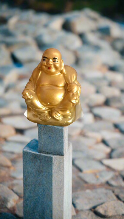 G.L Budda Small