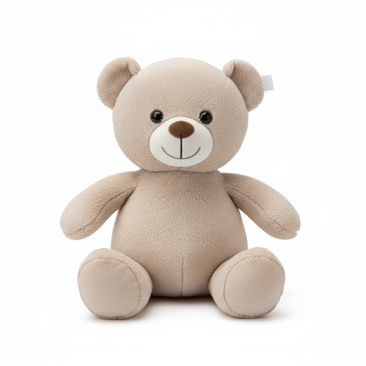 Budget Teddy Bear