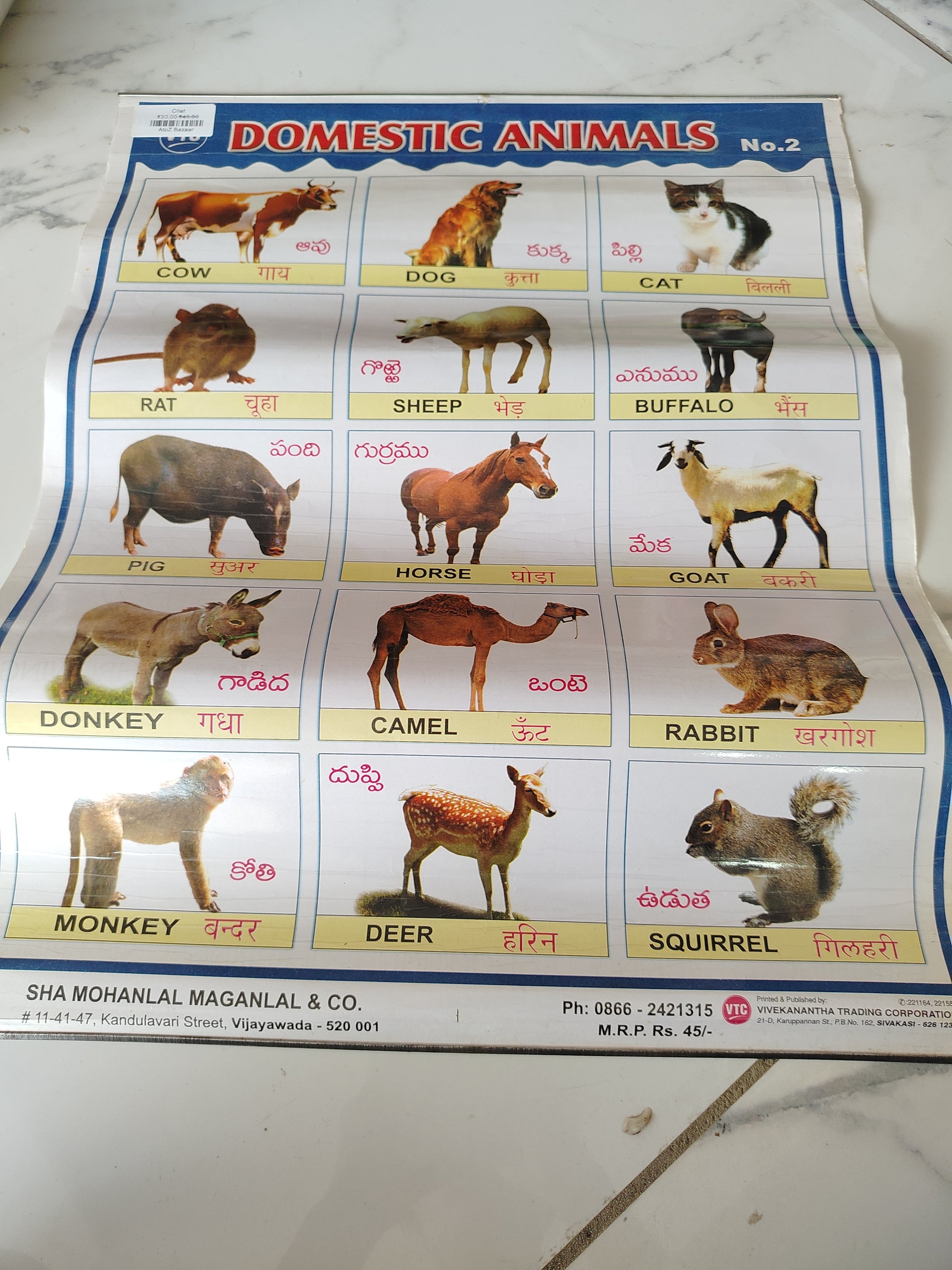 Kids Chart