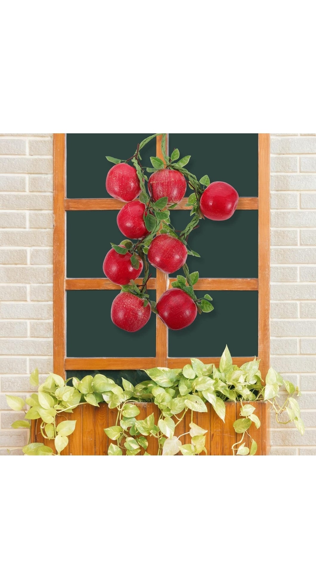 Fruit hanging