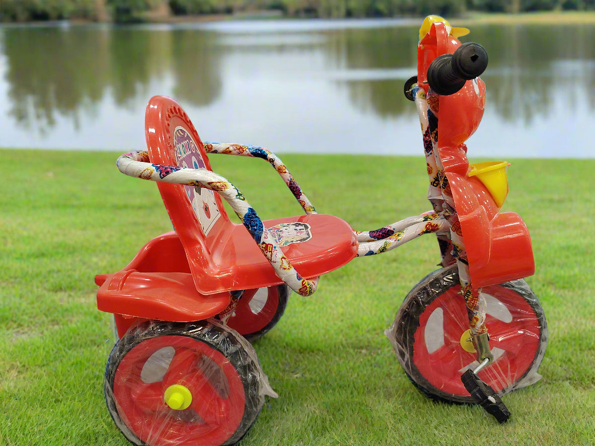 Saloni Cycle