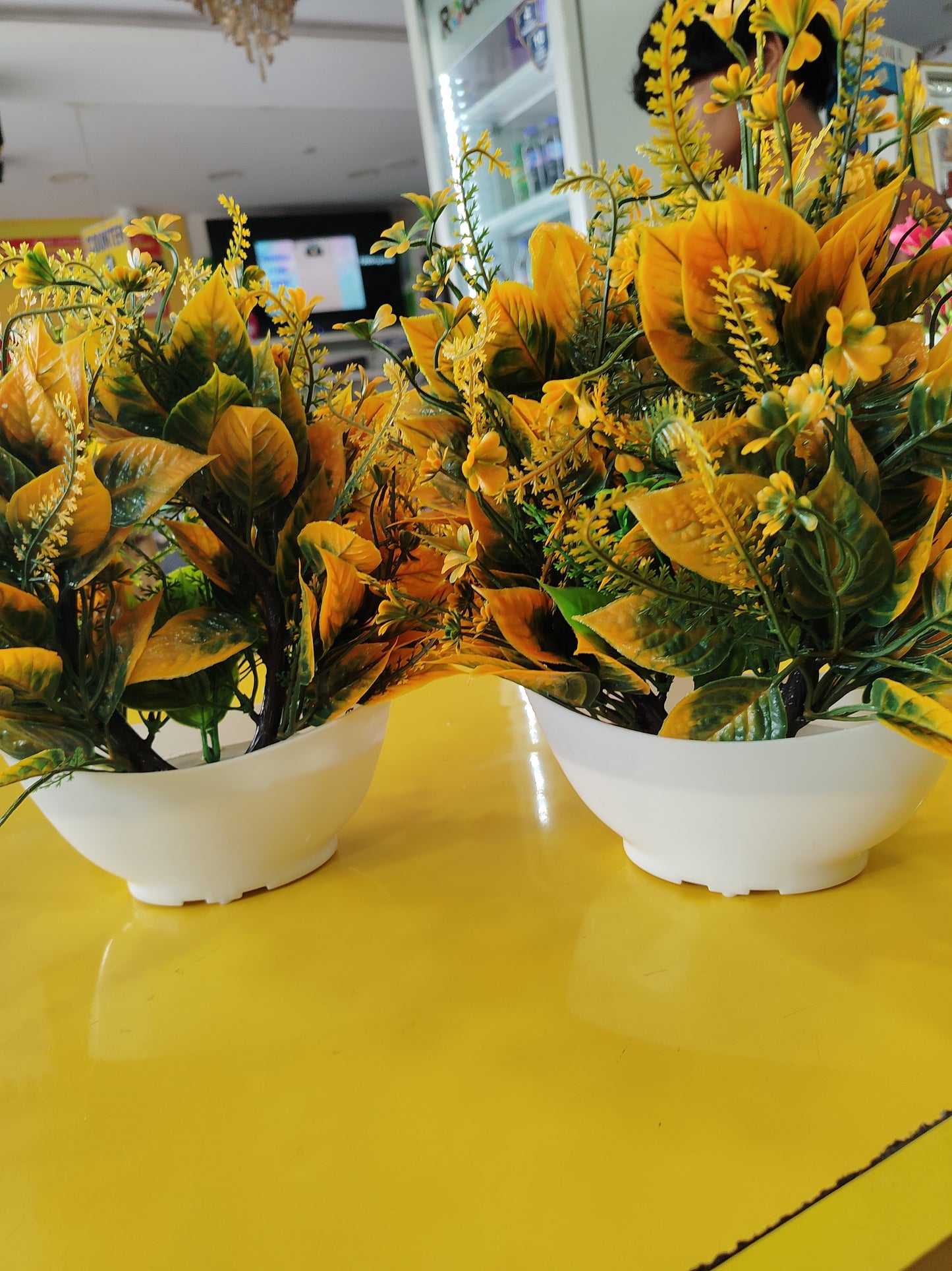 Flower Vase
